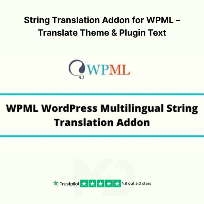 String Translation Addon for WPML – Translate Theme & Plugin Text 3.4.1 ...